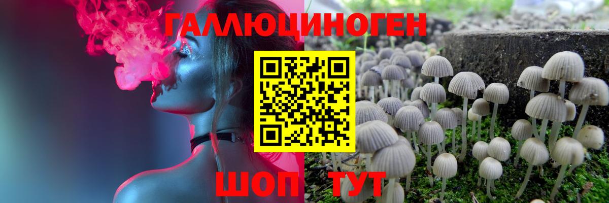 Псилоцибиновые грибы GOLDEN TEACHER Орехово-Зуево
